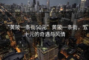 “黃陂一條街50元”黃陂一條街，五十元的奇遇與風(fēng)情