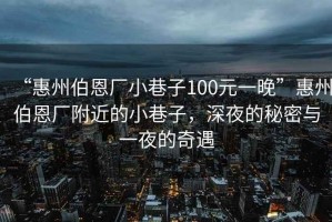 “惠州伯恩廠小巷子100元一晚”惠州伯恩廠附近的小巷子，深夜的秘密與一夜的奇遇