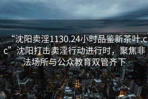 “沈陽(yáng)賣(mài)淫1130.24小時(shí)品鑒新茶葉.cc”沈陽(yáng)打擊賣(mài)淫行動(dòng)進(jìn)行時(shí)，聚焦非法場(chǎng)所與公眾教育雙管齊下