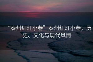 “泰州紅燈小巷”泰州紅燈小巷，歷史、文化與現(xiàn)代風(fēng)情