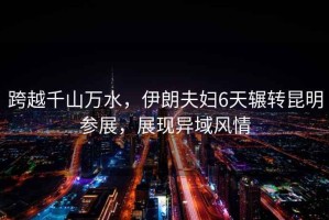 跨越千山萬水，伊朗夫婦6天輾轉昆明參展，展現(xiàn)異域風情