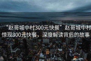 “趙哥城中村300元快餐”趙哥城中村驚現(xiàn)300元快餐，深度解讀背后的故事