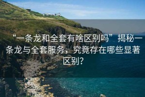 “一條龍和全套有啥區(qū)別嗎”揭秘一條龍與全套服務(wù)，究竟存在哪些顯著區(qū)別？