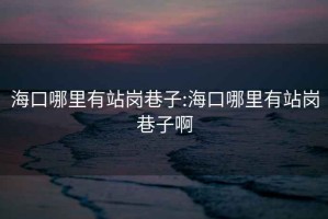 ?？谀睦镉姓緧徬镒?海口哪里有站崗巷子啊
