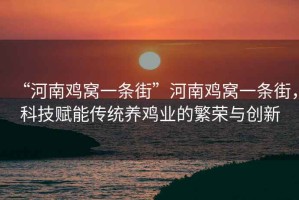 “河南雞窩一條街”河南雞窩一條街，科技賦能傳統(tǒng)養(yǎng)雞業(yè)的繁榮與創(chuàng)新