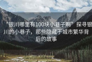 “銀川哪里有100塊小巷子啊”探尋銀川的小巷子，那些隱藏于城市繁華背后的故事