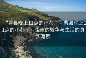 “曹縣晚上11點(diǎn)的小巷子”曹縣晚上11點(diǎn)的小巷子，夜市的繁華與生活的真實(shí)寫(xiě)照