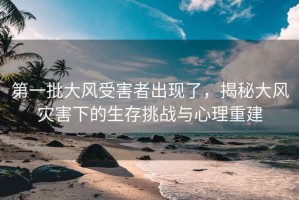 第一批大風受害者出現(xiàn)了，揭秘大風災害下的生存挑戰(zhàn)與心理重建