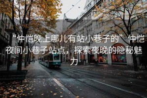 “仲愷晚上哪兒有站小巷子的”仲愷夜間小巷子站點(diǎn)，探索夜晚的隱秘魅力