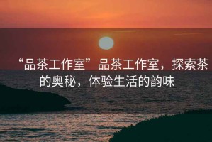“品茶工作室”品茶工作室，探索茶的奧秘，體驗(yàn)生活的韻味
