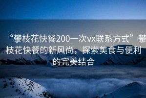 “攀枝花快餐200一次vx聯(lián)系方式”攀枝花快餐的新風(fēng)尚，探索美食與便利的完美結(jié)合