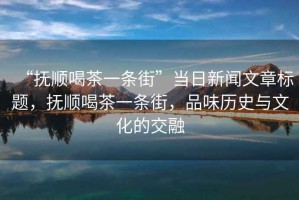 “撫順喝茶一條街”當(dāng)日新聞文章標(biāo)題，撫順喝茶一條街，品味歷史與文化的交融