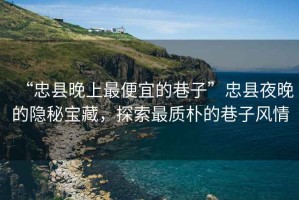 “忠縣晚上最便宜的巷子”忠縣夜晚的隱秘寶藏，探索最質(zhì)樸的巷子風(fēng)情