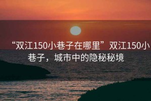 “雙江150小巷子在哪里”雙江150小巷子，城市中的隱秘秘境
