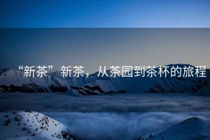 “新茶”新茶，從茶園到茶杯的旅程