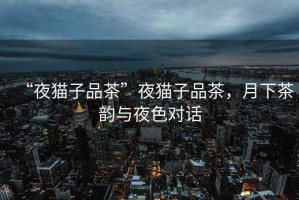 “夜貓子品茶”夜貓子品茶，月下茶韻與夜色對話