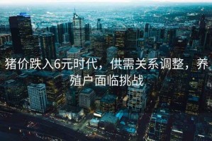豬價跌入6元時代，供需關(guān)系調(diào)整，養(yǎng)殖戶面臨挑戰(zhàn)