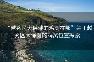 “越秀區(qū)大保健的雞窩在哪”關(guān)于越秀區(qū)大保健的雞窩位置探索