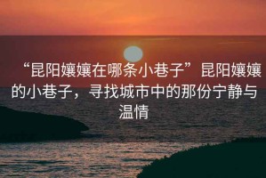 “昆陽孃孃在哪條小巷子”昆陽孃孃的小巷子，尋找城市中的那份寧靜與溫情