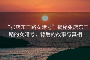 “張店東三路女暗號(hào)”揭秘張店東三路的女暗號(hào)，背后的故事與真相