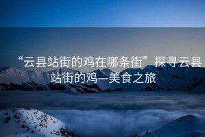 “云縣站街的雞在哪條街”探尋云縣站街的雞—美食之旅