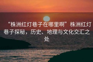 “株洲紅燈巷子在哪里啊”株洲紅燈巷子探秘，歷史、地理與文化交匯之處