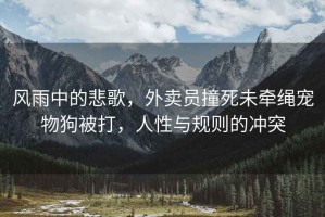 風(fēng)雨中的悲歌，外賣員撞死未牽繩寵物狗被打，人性與規(guī)則的沖突