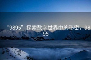 “9895”探索數(shù)字世界中的秘密，9895