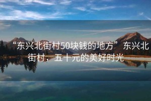 “東興北街村50塊錢的地方”東興北街村，五十元的美好時光