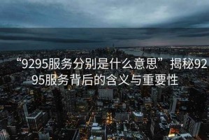 “9295服務(wù)分別是什么意思”揭秘9295服務(wù)背后的含義與重要性