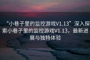 “小巷子里的監(jiān)控游戲V1.13”深入探索小巷子里的監(jiān)控游戲V1.13，最新進展與獨特體驗