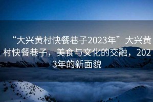 “大興黃村快餐巷子2023年”大興黃村快餐巷子，美食與文化的交融，2023年的新面貌