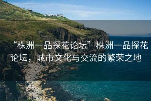 “株洲一品探花論壇”株洲一品探花論壇，城市文化與交流的繁榮之地