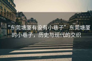 “東莞塘廈有沒有小巷子”東莞塘廈的小巷子，歷史與現(xiàn)代的交織