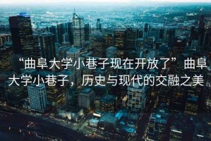 “曲阜大學(xué)小巷子現(xiàn)在開放了”曲阜大學(xué)小巷子，歷史與現(xiàn)代的交融之美