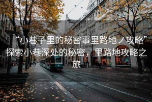 “小巷子里的秘密事里路地ノ攻略”探索小巷深處的秘密，里路地攻略之旅