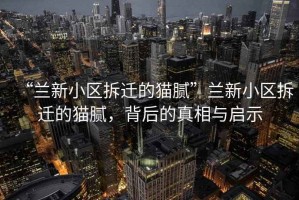 “蘭新小區(qū)拆遷的貓膩”蘭新小區(qū)拆遷的貓膩，背后的真相與啟示