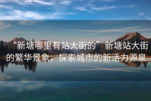 “新塘哪里有站大街的”新塘站大街的繁華景象，探索城市的新活力源泉