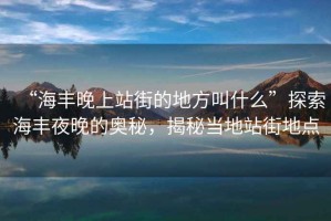 “海豐晚上站街的地方叫什么”探索海豐夜晚的奧秘，揭秘當(dāng)?shù)卣窘值攸c(diǎn)
