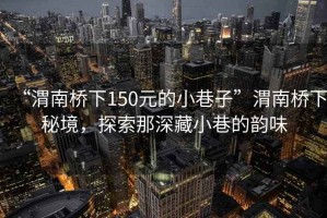 “渭南橋下150元的小巷子”渭南橋下秘境，探索那深藏小巷的韻味