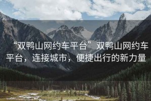 “雙鴨山網(wǎng)約車平臺(tái)”雙鴨山網(wǎng)約車平臺(tái)，連接城市，便捷出行的新力量