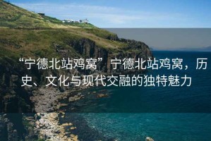“寧德北站雞窩”寧德北站雞窩，歷史、文化與現(xiàn)代交融的獨(dú)特魅力