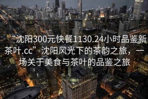 “沈陽(yáng)300元快餐1130.24小時(shí)品鑒新茶葉.cc”沈陽(yáng)風(fēng)光下的茶韻之旅，一場(chǎng)關(guān)于美食與茶葉的品鑒之旅
