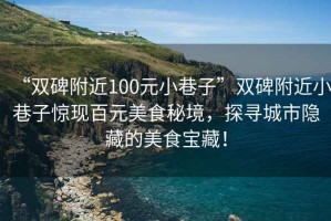 “雙碑附近100元小巷子”雙碑附近小巷子驚現百元美食秘境，探尋城市隱藏的美食寶藏！