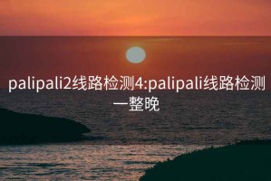 palipali2線路檢測4:palipali線路檢測一整晚