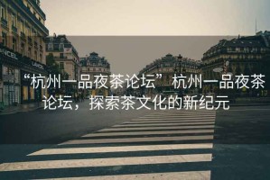 “杭州一品夜茶論壇”杭州一品夜茶論壇，探索茶文化的新紀(jì)元