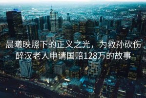 晨曦映照下的正義之光，為救孫砍傷醉漢老人申請(qǐng)國(guó)賠128萬(wàn)的故事
