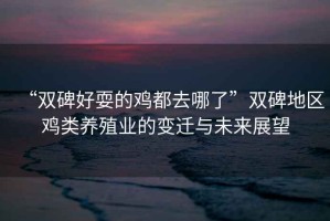 “雙碑好耍的雞都去哪了”雙碑地區(qū)雞類養(yǎng)殖業(yè)的變遷與未來(lái)展望