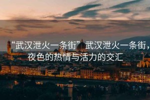 “武漢泄火一條街”武漢泄火一條街，夜色的熱情與活力的交匯