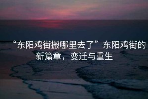 “東陽雞街搬哪里去了”東陽雞街的新篇章，變遷與重生